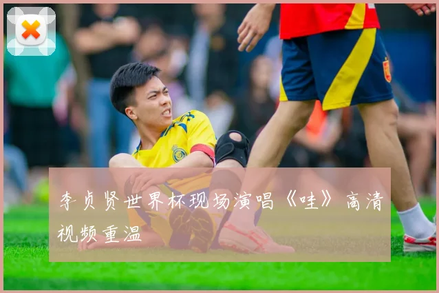 李贞贤世界杯现场演唱《哇》高清视频重温