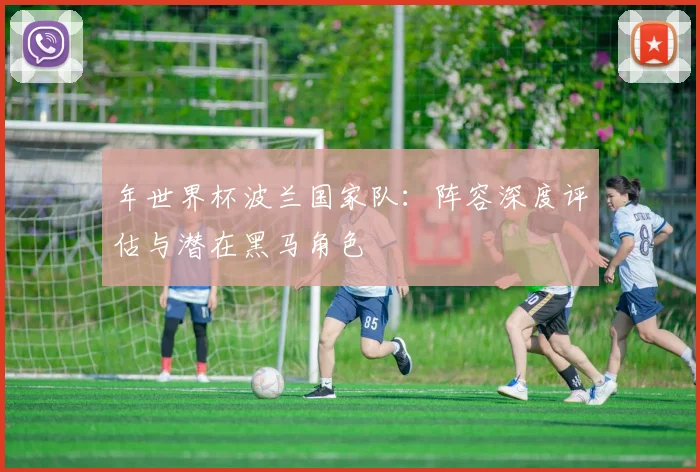 年世界杯波兰国家队：阵容深度评估与潜在黑马角色