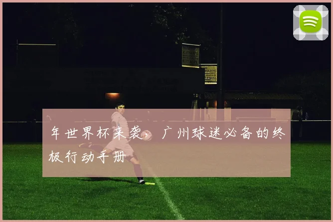 年世界杯来袭,广州球迷必备的终极行动手册