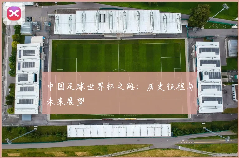 中国足球世界杯之路:历史征程与未来展望